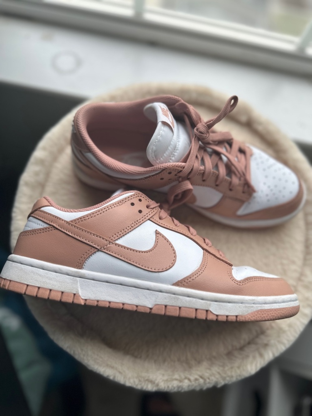 Nike Dunk Low